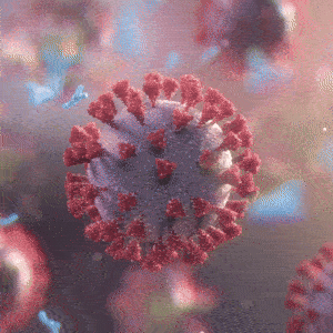 Quiets the inflammation